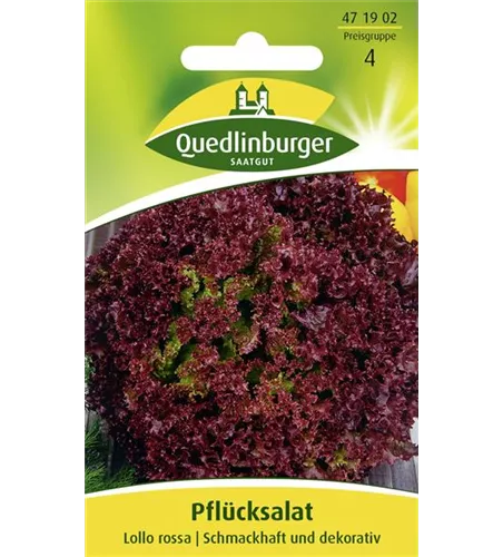 Pflücksalatsamen 'Lollo rosso'