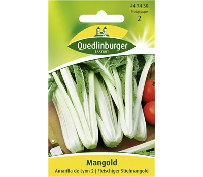 Mangoldsamen 'Amarilla de Lyon 2' Mangoldsamen 'Amarilla de Lyon 2'