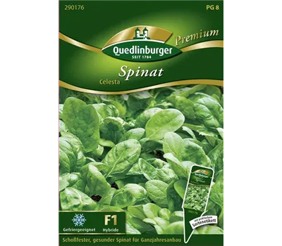 Spinatsamen 'Celesta' Spinatsamen 'Celesta'