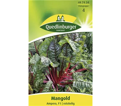 Mangoldsamen 'Ampera' Mangoldsamen 'Ampera'