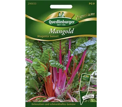 Mangoldsamen 'Magenta Sunset' Mangoldsamen 'Magenta Sunset'