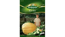 Cucurbita maxima 'Atlantic Giant'