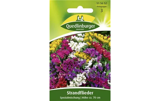 Strandfliedersamen 'Spezialmischung' Strandfliedersamen 'Spezialmischung'