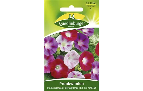 Prunkwindensamen 'Prachtmischung' Prunkwindensamen 'Prachtmischung'