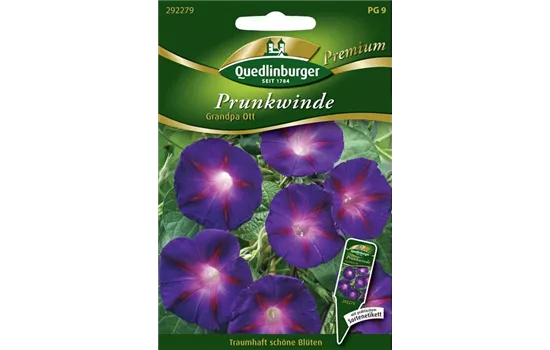 Trichterwindensamen 'Grandpa Ott' Trichterwindensamen 'Grandpa Ott'