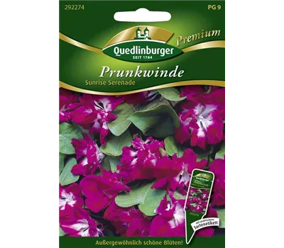 Prunkwindensamen 'Sunrise Serenade' Prunkwindensamen 'Sunrise Serenade'