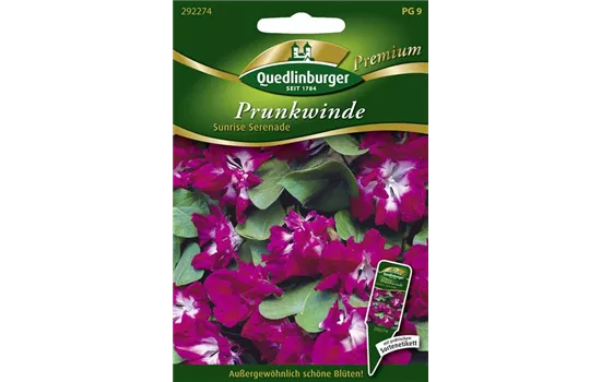 Prunkwindensamen 'Sunrise Serenade' Prunkwindensamen 'Sunrise Serenade'