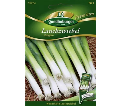 Lauchzwiebelsamen 'Kaigaro' Lauchzwiebelsamen 'Kaigaro'