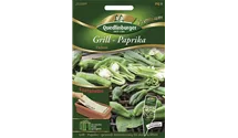 Capsicum annuum 'Padron'