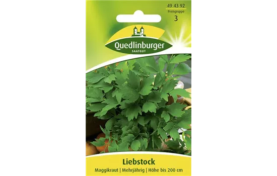 Liebstöckelsamen Liebstöckelsamen