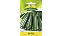 Cucurbita pepo subsp. pepo convar. giromontiina 'Zuboda'