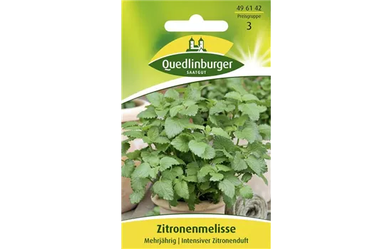 Zitronen-Melisse-Samen Zitronen-Melisse-Samen
