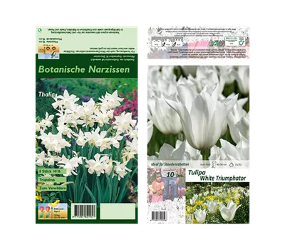 Blumenzwiebel Set 'Colorful White'