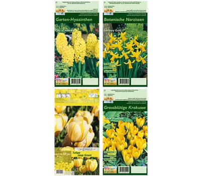 Blumenzwiebel Set 'Das Gelbe vom … Blumenbeet'