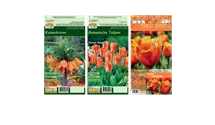 Blumenzwiebel Set 'Orange King'
