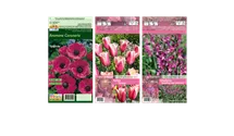 Blumenzwiebel Set 'Pink Paradies'