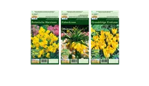 Blumenzwiebel Set 'Sunny Sea'