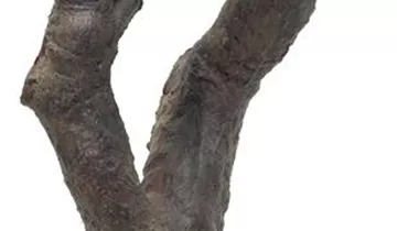 fleur ami KIRSCHBLÜTEN BAUM Kunstpflanze, 260 cm