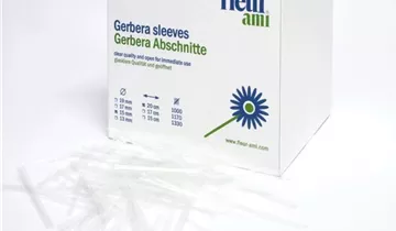 fleur ami GERBERA Abschnitte, 0,17/15 cm