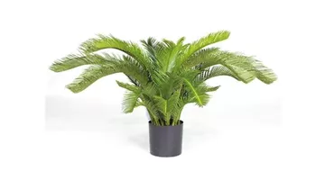 fleur ami CYCASPALME DELUXE Kunstpflanze, 80 cm