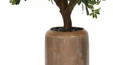 fleur ami SETS PREMIUM, LOFT , 31/100 cm, verdigris bronze, PITTOSPORUM Kunstpflanze, 120 cm