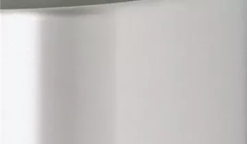fleur ami SETLINE Pflanzgefäß, 50/29 cm, Edelstahl gebürstet