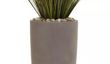 fleur ami SETS ECONOMY, EASY 43/90 cm marble-grey, ZWIEBELGRAS 90 cm