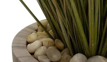 fleur ami SETS ECONOMY, EASY 43/90 cm marble-grey, ZWIEBELGRAS 90 cm