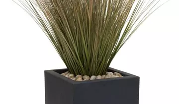 fleur ami SETS ECONOMY, EASY 40x40/40 cm matt-anthrazit, ZWIEBELGRAS 90 cm