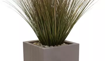 fleur ami SETS ECONOMY, EASY 40x40/40 cm marble-grey, ZWIEBELGRAS 90 cm