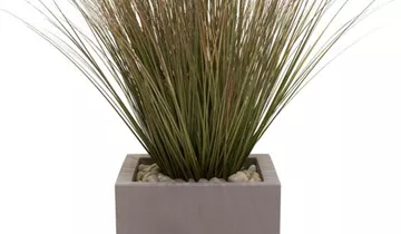 fleur ami SETS ECONOMY, EASY 40x40/40 cm marble-grey, ZWIEBELGRAS 90 cm