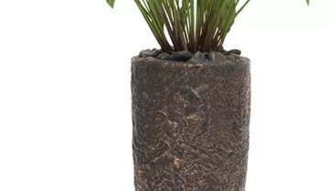 fleur ami SETS BUSINESS, ROCKY, 35/79 cm bronze, CALATHEA 85 cm