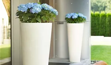 fleur ami POLYSTONE CONICAL Pflanzgefäß, 48/110 cm, creme