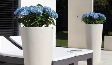 fleur ami POLYSTONE CONICAL Pflanzgefäß, 48/110 cm, creme