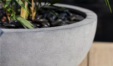 fleur ami POLYSTONE EGO PLUS Pflanzschale, 70/32 cm, grau
