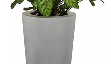 fleur ami SETS PREMIUM, POLYSTONE CONICAL , 43/80 cm, grau, CALATHEA 80 cm