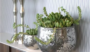 fleur ami LUXURY Tischgefäß, 32/26 cm, antik-chrom