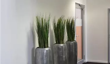 fleur ami LOFT Pflanzgefäß, 32/120 cm, aluminium