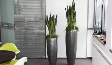 fleur ami LOFT Pflanzgefäß, 32/120 cm, aluminium