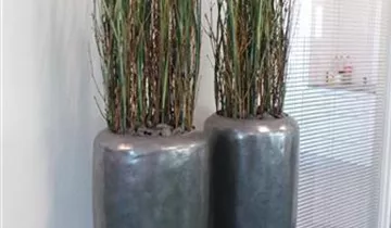 fleur ami LOFT Pflanzgefäß, 32/120 cm, aluminium