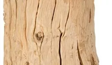 fleur ami ECOWOOD Designleuchte groß, 25x25/70 cm, weiß/Holz