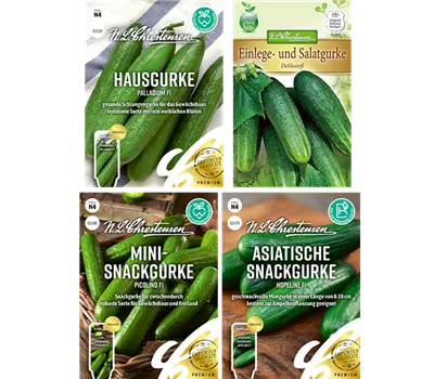 Saatgut Set 'Gurken' Saatgut Set 'Gurken'