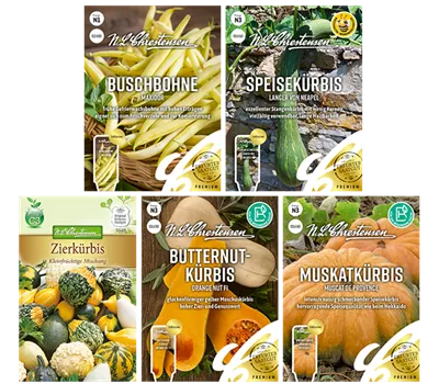 Saatgut Set 'Kürbis'  Saatgut Set 'Kürbis'
