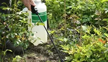 Birchmeier Drucksprühgerät 'Organic Star 5' 5 l