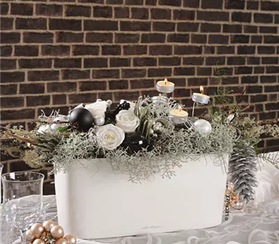 LECHUZA DELTA 20  LECHUZA DELTA 20