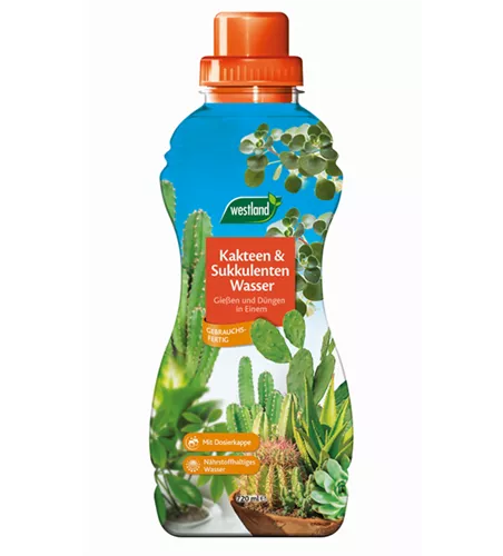 Westland Kakteen & Sukkulentenwasser 720 ml Westland Kakteen & Sukkulentenwasser 720 ml
