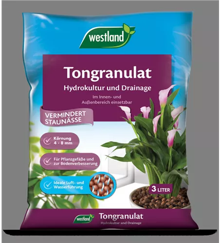 Westland Tongranulat Westland Tongranulat