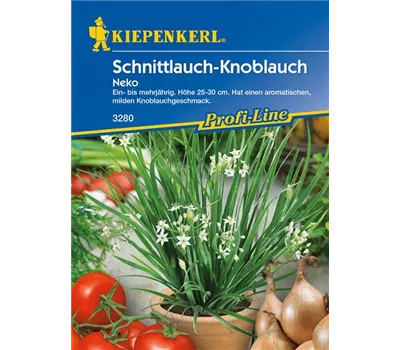 Schnittknoblauch 'Neko' Schnittknoblauch 'Neko'