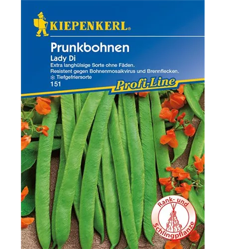 Prunkbohne 'Lady Di'