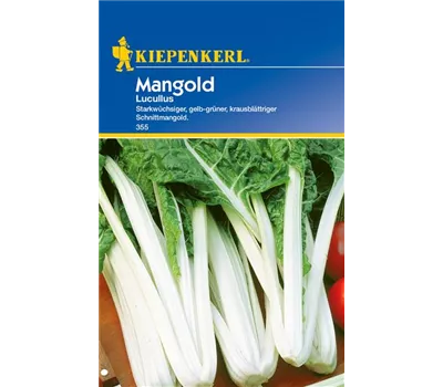 Blatt-Mangold 'Lucullus' Blatt-Mangold 'Lucullus'